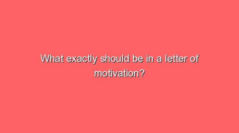 what exactly should be in a letter of motivation 9003