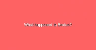 what happened to brutus 6762