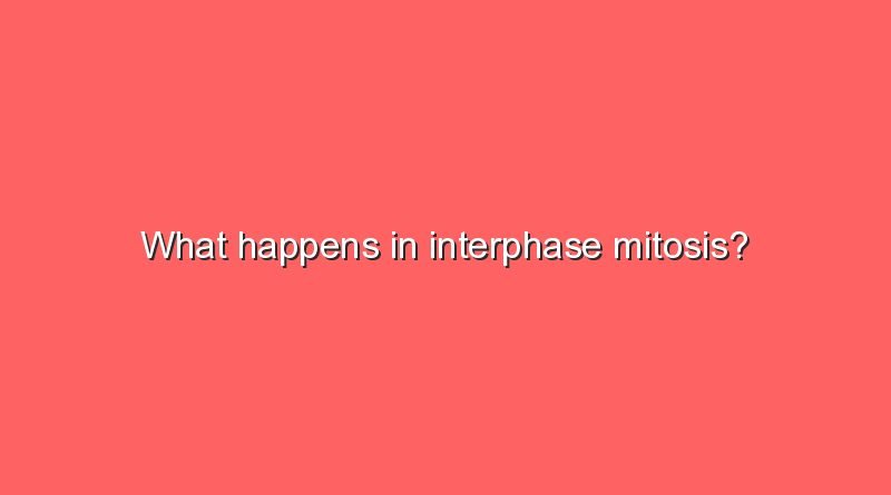 what happens in interphase mitosis 9756
