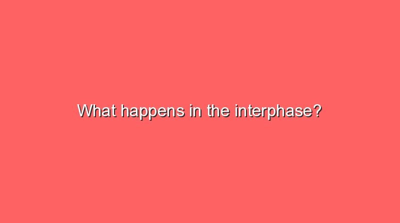 what happens in the interphase 9149