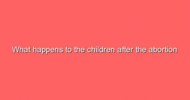 what happens to the children after the abortion what happens to the children after the abortion 5095