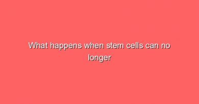 what happens when stem cells can no longer fulfill their task 11363