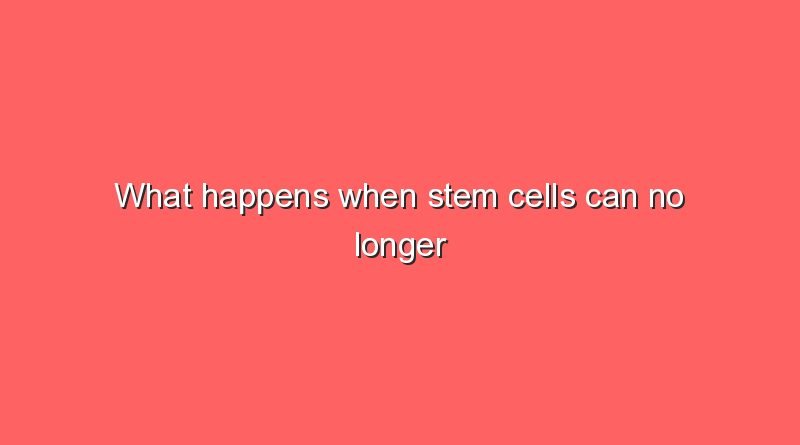 what happens when stem cells can no longer fulfill their task 11363