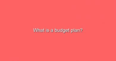 what is a budget plan 10600