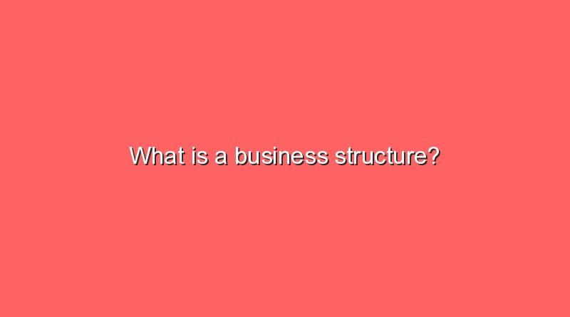 what is a business structure 10709