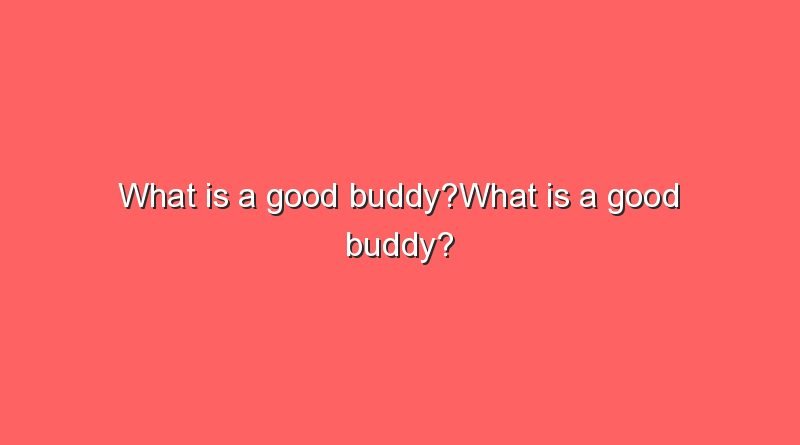 what is a good buddywhat is a good buddy 9487