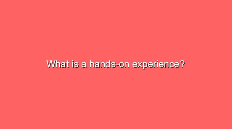 what-is-a-hands-on-experience-sonic-hours