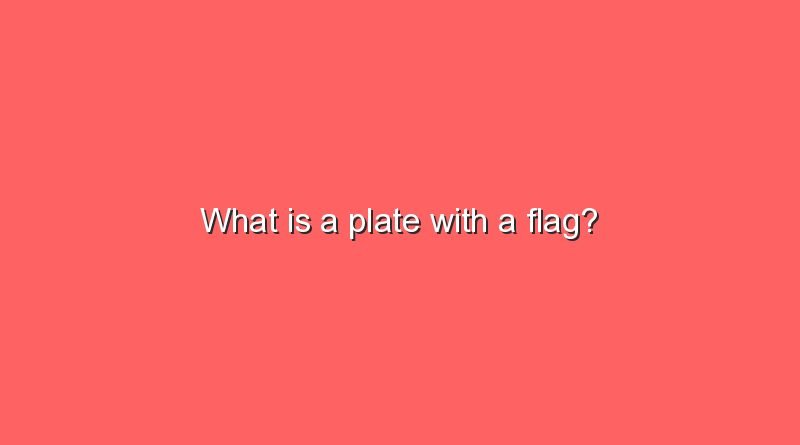 what is a plate with a flag 10308