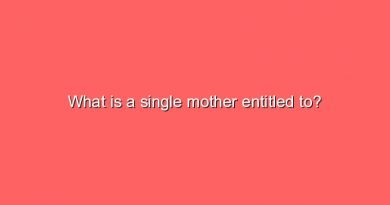 what is a single mother entitled to 8555
