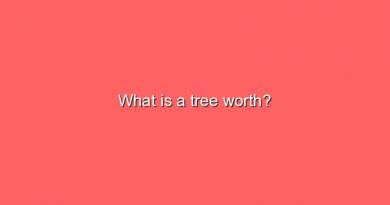 what is a tree worth 10988