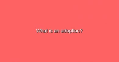 what is an adoption 11465