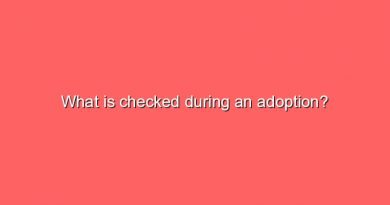 what is checked during an adoption 11441