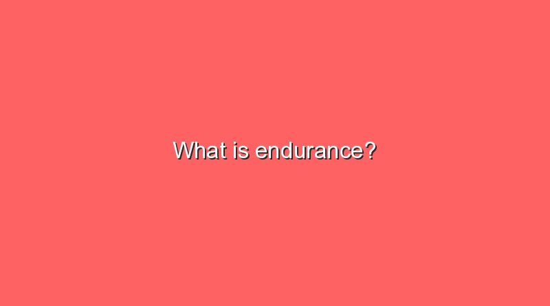 what is endurance 8091