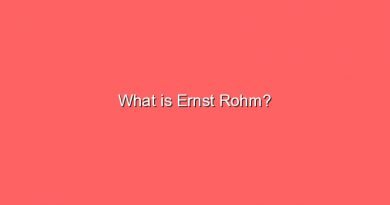 what is ernst rohm 8763