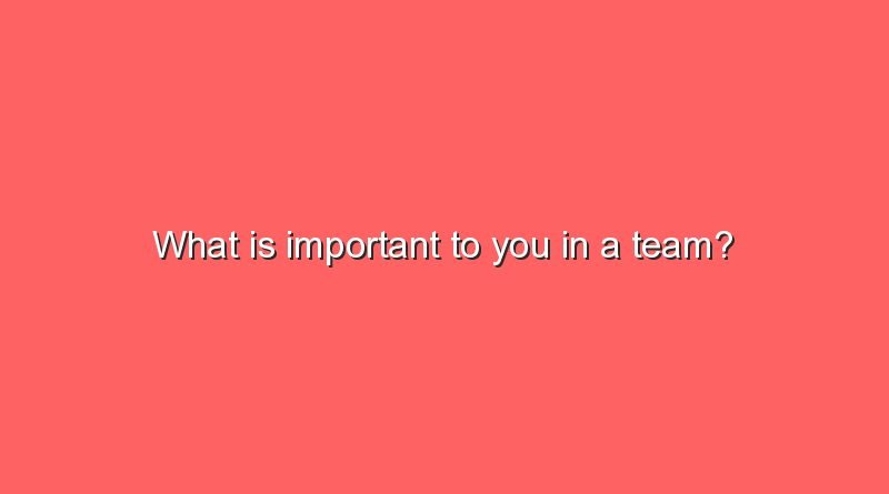 what is important to you in a team 9654