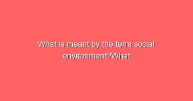 what is meant by the term social environmentwhat is meant by the term social environment 8331