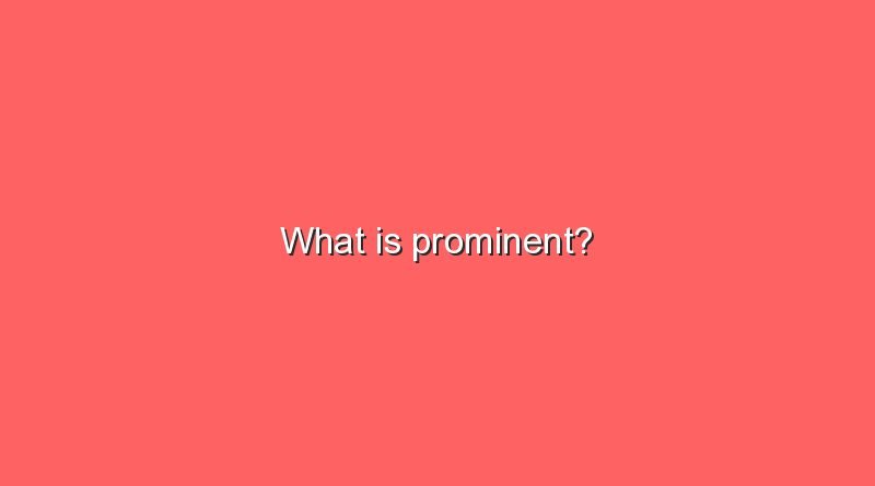 what is prominent 11330