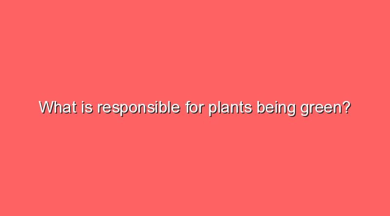 what is responsible for plants being green 10617