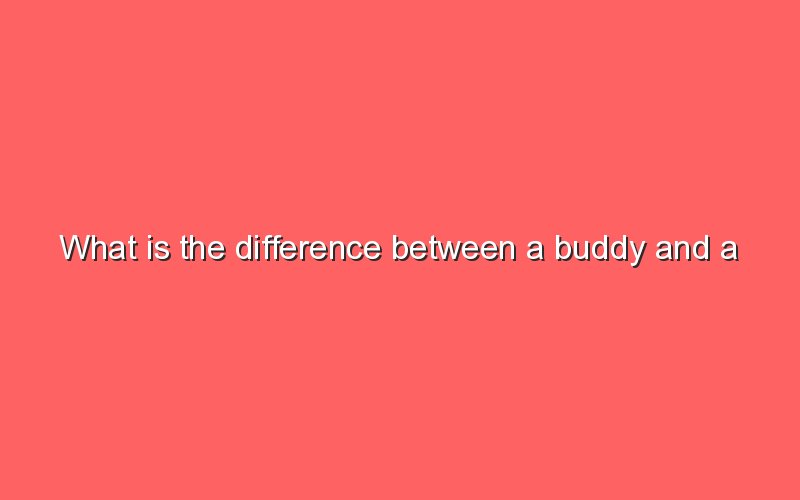 what-is-the-difference-between-a-buddy-and-a-friend-sonic-hours