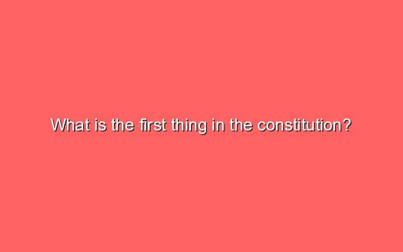 what-is-the-first-thing-in-the-constitution-sonic-hours