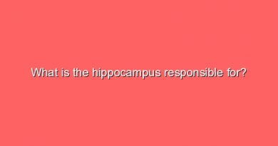 what is the hippocampus responsible for 7009