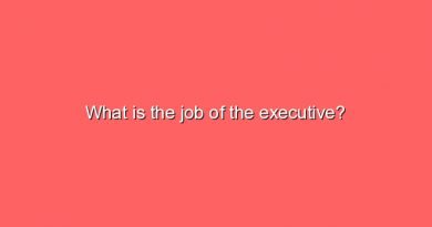 what is the job of the executive 7846