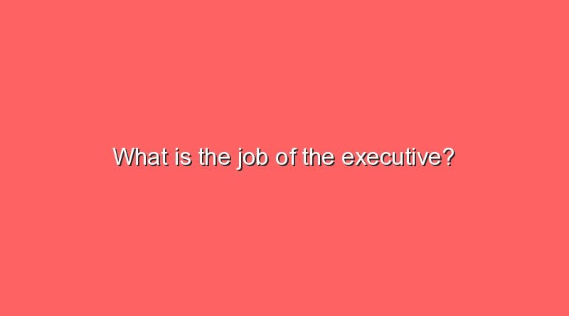 what is the job of the executive 7846