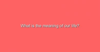 what is the meaning of our life 10521