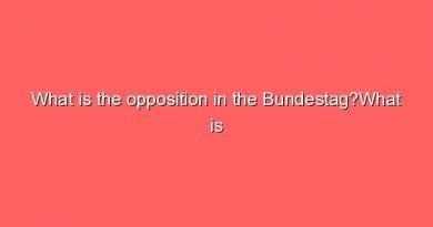what is the opposition in the bundestagwhat is the opposition in the bundestag 15396