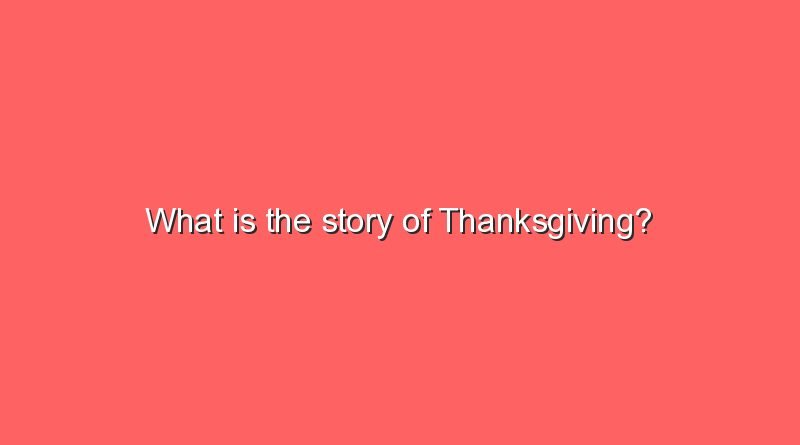 what is the story of thanksgiving 11369