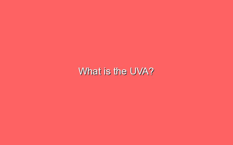 what-is-the-uva-sonic-hours