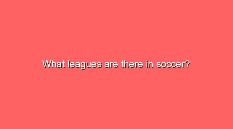 what leagues are there in soccer 10857