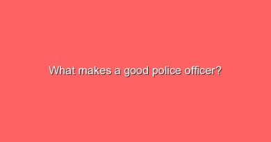what makes a good police officer 10042