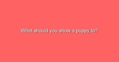what should you show a puppy to 6915