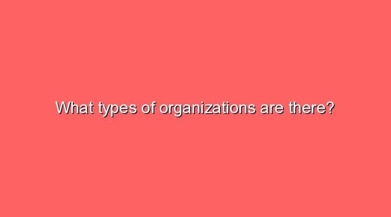 what types of organizations are there 8173