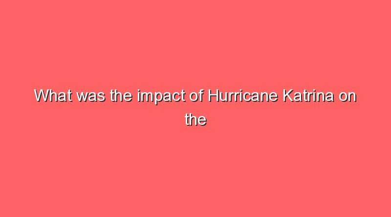 what was the impact of hurricane katrina on the population 8614