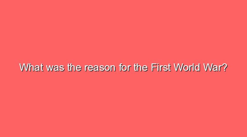 what was the reason for the first world war 11028