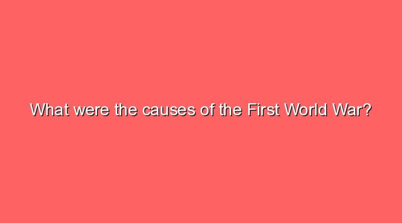 what were the causes of the first world war 8343