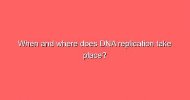 when and where does dna replication take place 9341