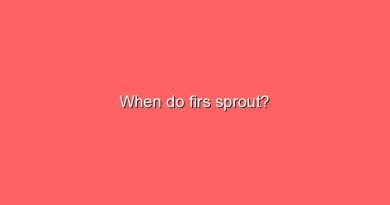 when do firs sprout 9311