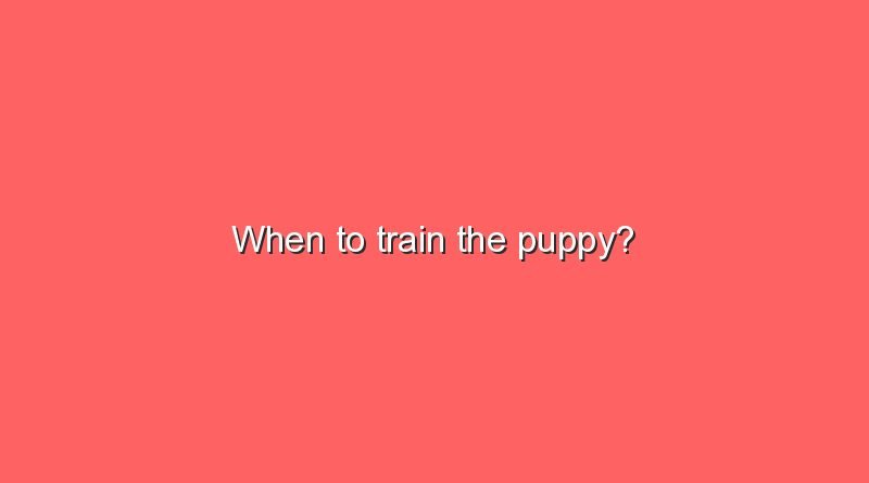 when to train the puppy 10956