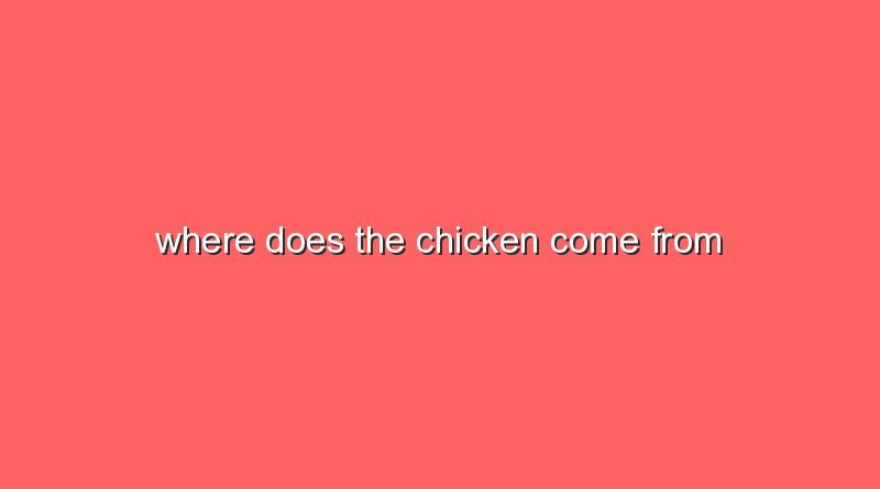 where does the chicken come from 11810