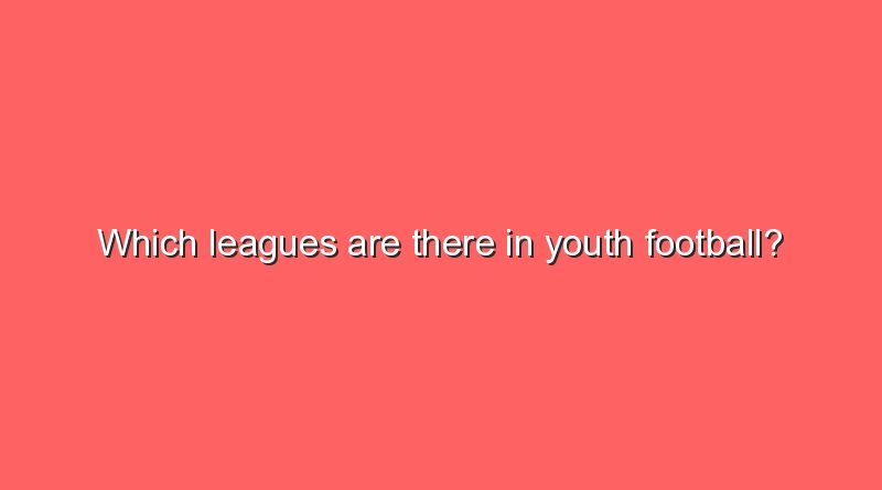 which leagues are there in youth football 7226