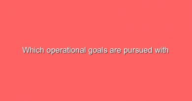 which operational goals are pursued with personnel development 11014