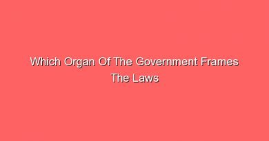 which organ of the government frames the laws 12785