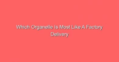 which organelle is most like a factory delivery driver 17416