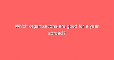which organizations are good for a year abroad 7080