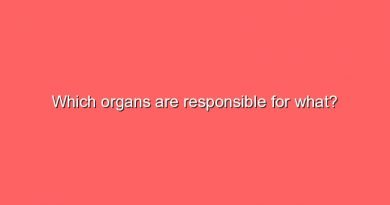 which organs are responsible for what 9441