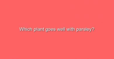 which plant goes well with parsley 5660