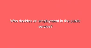 who decides on employment in the public service 6336